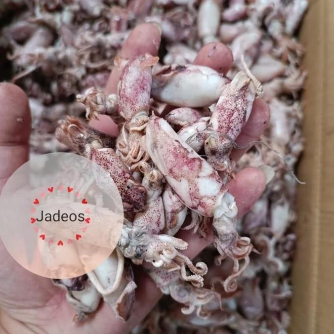 

Ikan Asin Cumi 80% Kering Berat 1Kg Tbk