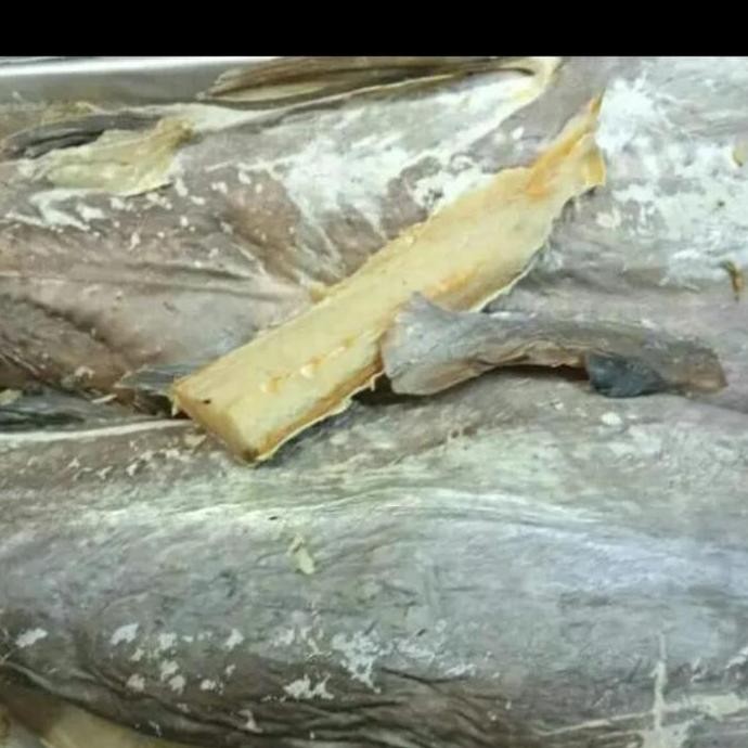 

Ikan asin jambal roti 250gr