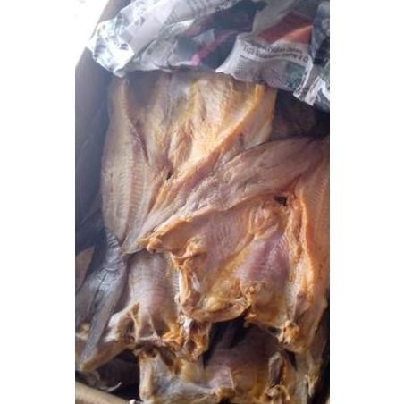 

Ikan Asin Jambal Roti Super Mentega khas Pangandaran Murah