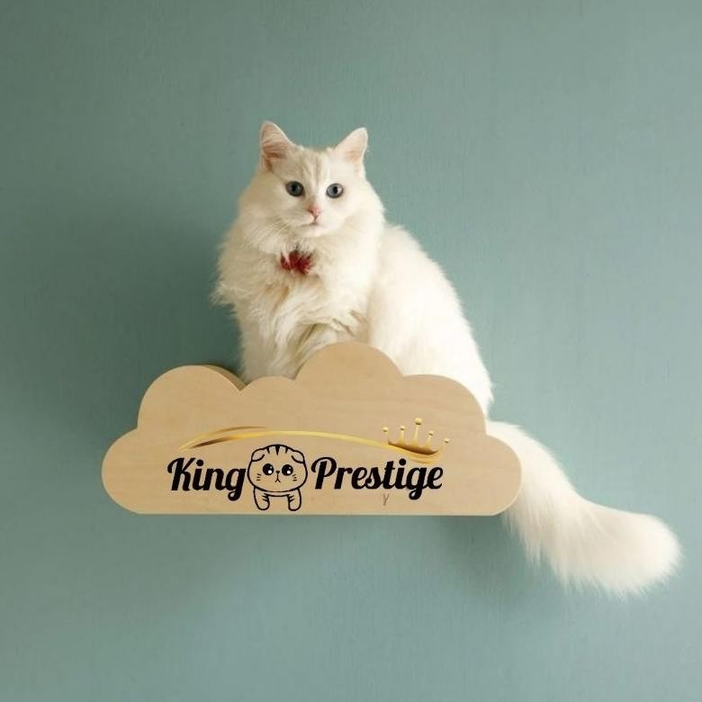 Cat playground cloud shape DiM