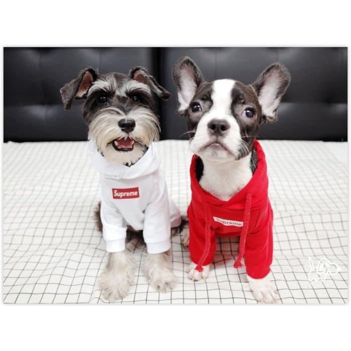 Baju Anjing Supreme / Hoodie Anjing / Baju Kucing / Hoodie Supreme