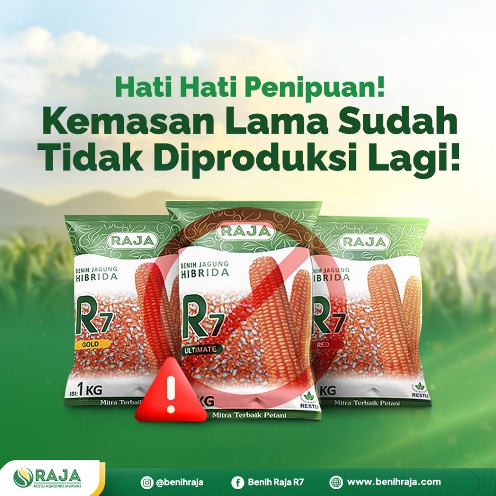Benih Jagung Raja R7 Ultimate - 1Kg - Benih Unggul Siap Tanam