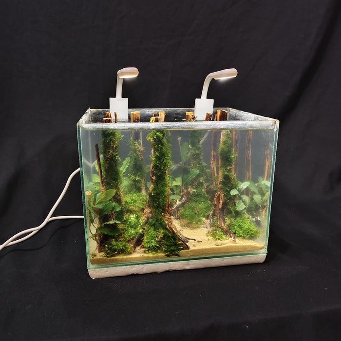 Hardscape Aquascape Hiasan Aquarium Tema Hutan Mini Ukuran 15-20 Cm Original Dan Terpercaya