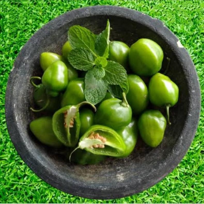 

Aman Cabai Bendot Cabe Gendot Bandung Segar 250Gr Ekstra Pedas