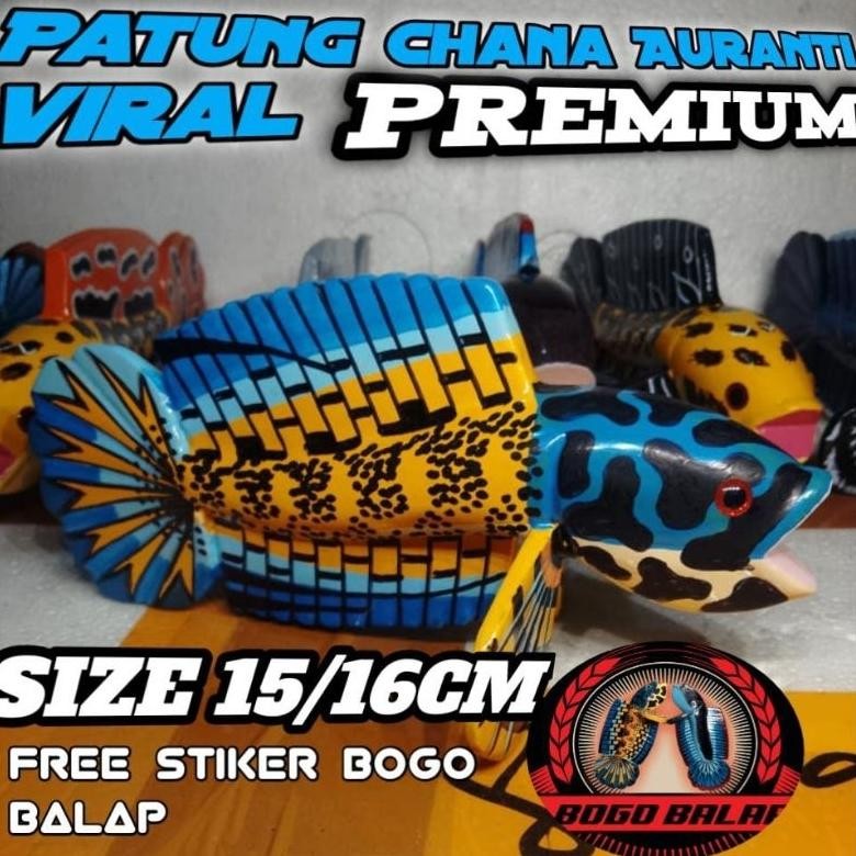 auranti hf gondrong DiM