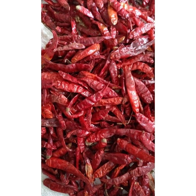 

Cod Kemasan 1Kg Cabe Rawit Teja Kering Infor India Kuakitas Bagus