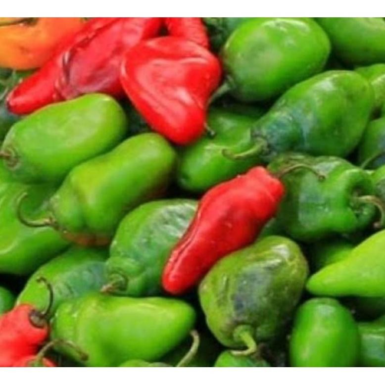 

Aman Terbaik Cabe Gendot Segar 500Gr