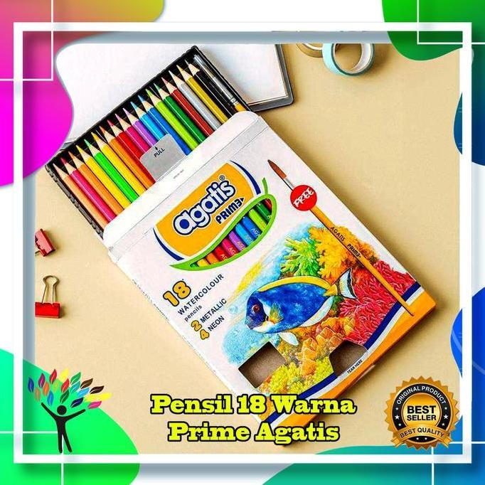 

Pensil Warna Agatis Prime Panjang