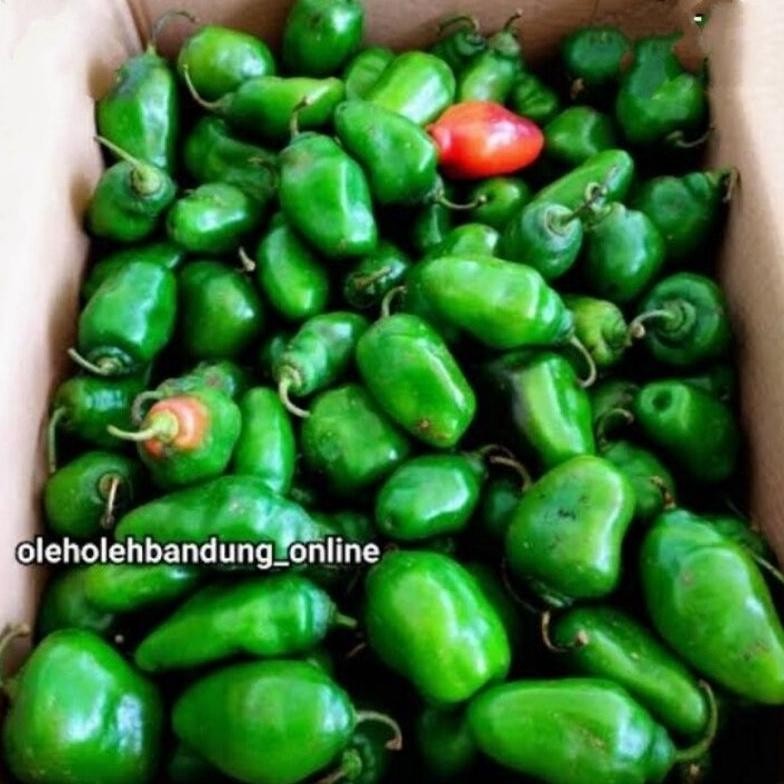 

Mudah Cabe Gendot Bandung Cabai Bendot Fresh 500Gr