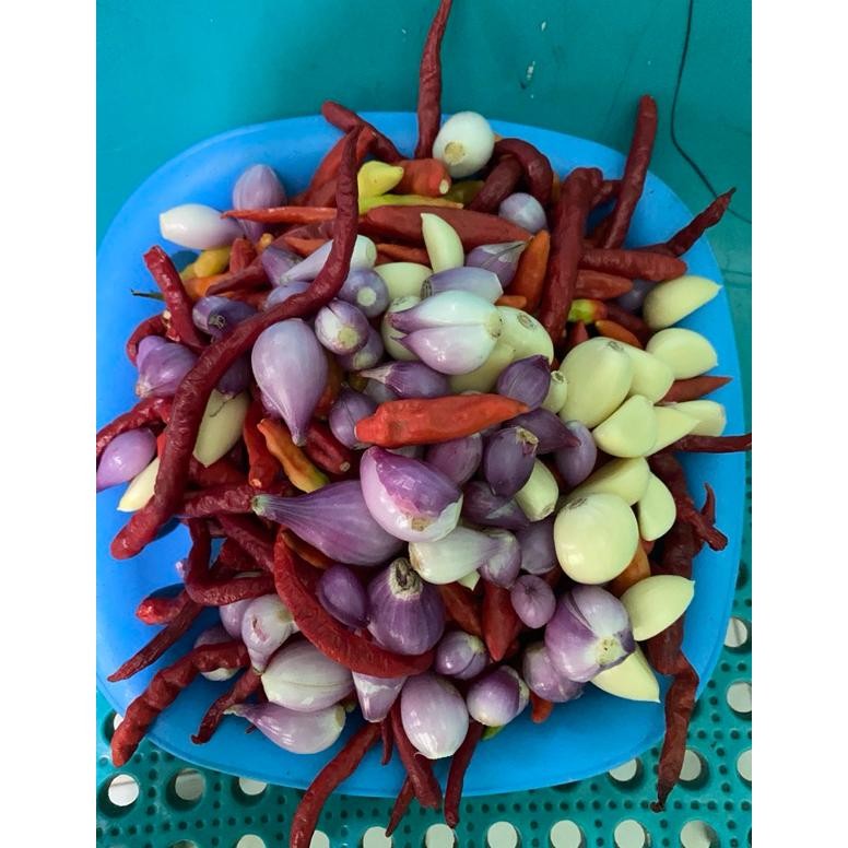 

Bermutu Cabe Rawit Ori Probolinggo 1Kg