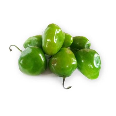 

Kenyamanan 500Gr Cabe Gendot Cabai Bendot Segar