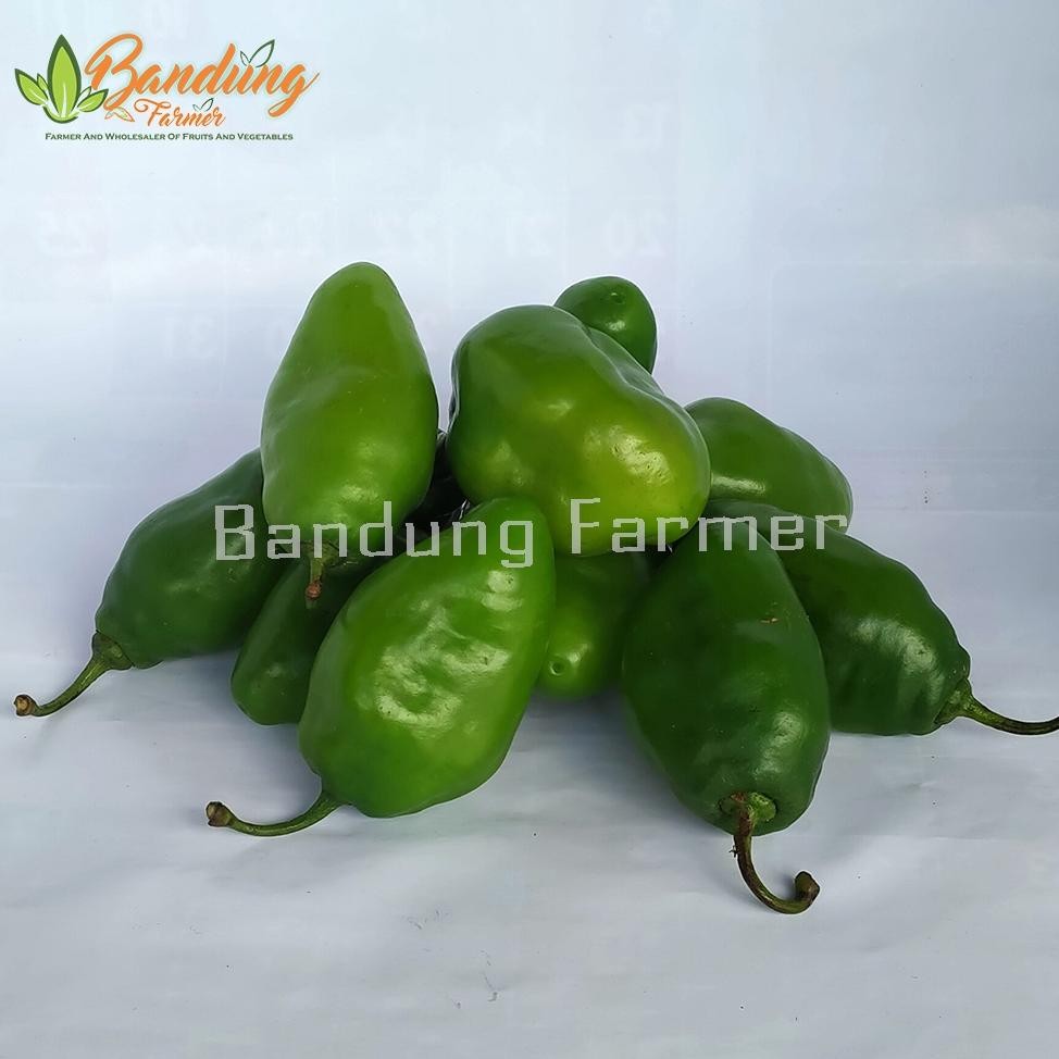 

Menarik Cabe Gendot 500Gr Fresh