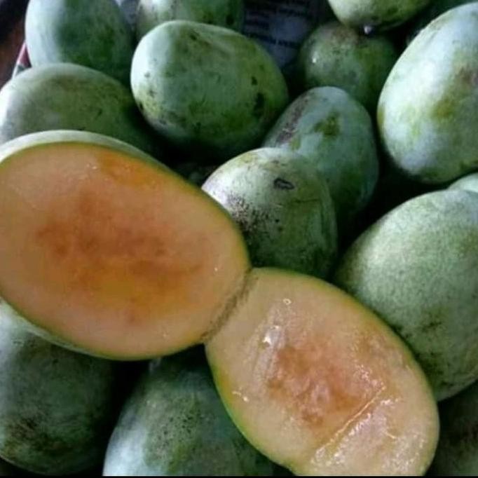 

TERMURAH MANGGA MANALAGI MADU MATANG BESAR - BUAH SEGAR MANIS SIAP MAKAN