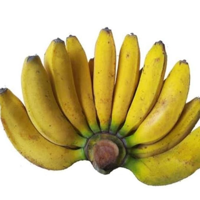 

TERMURAH PISANG RAJA BULU SUKABUMI 1KG - PISANG MADU MANIS, ENAK GORENG & BAKAR