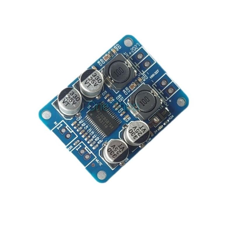 AmplifierTPA3118Mono60W32PinOriginal DiM