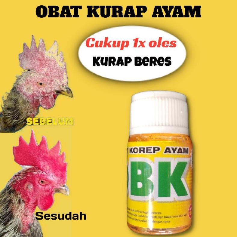 NEWW Obat Korep Ayam Paling Ampuh Obat Kurap Ayam Ampuh OBK KURAP KOREP