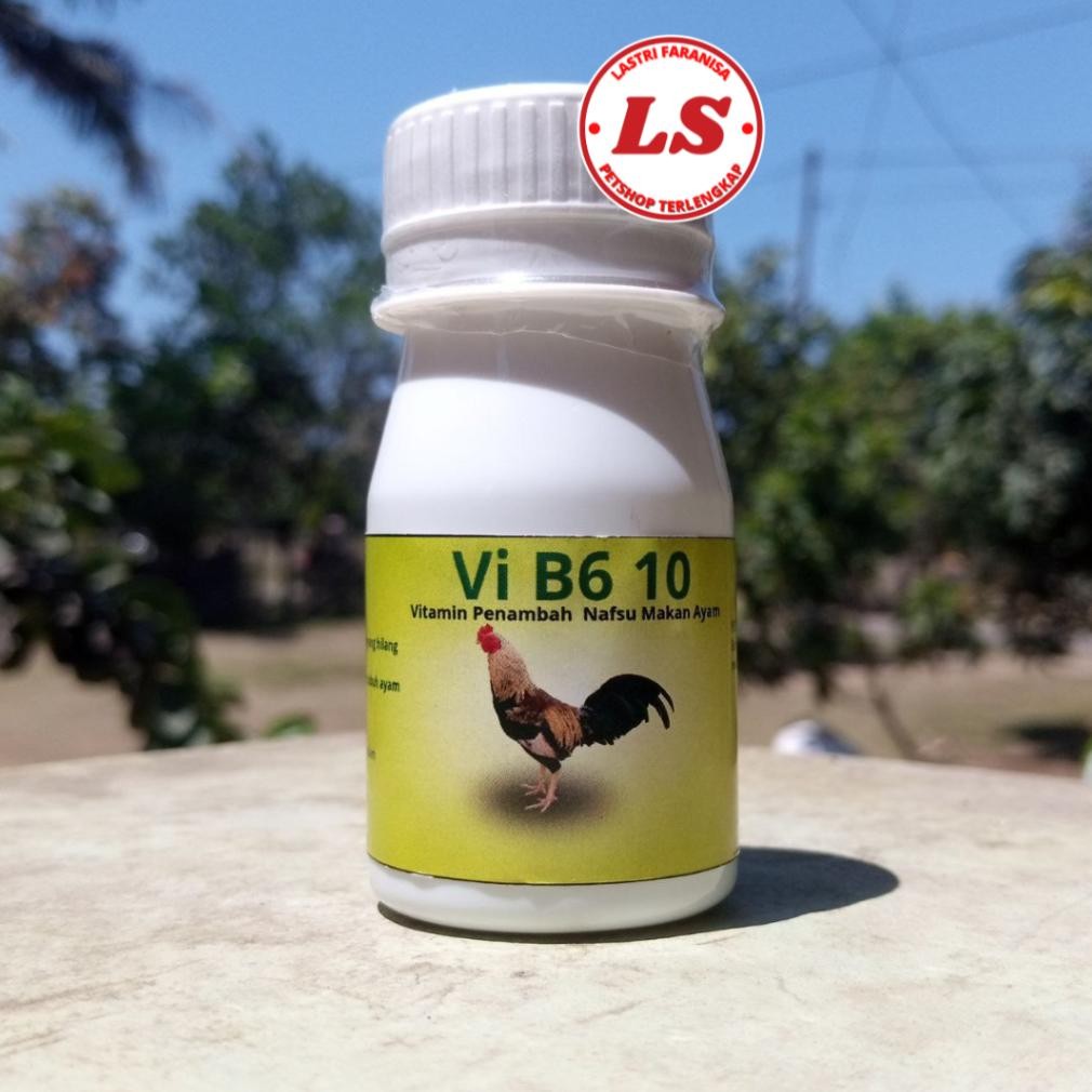 NEWW Obat Nafsu Makan Ayam Bangkok B6 isi 50 Butir Nafsu Makan Ayam Botol Vitamin Nafsu Makan Ayam