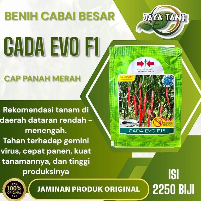Benih Cabe Besar GADA EVO F1 isi 2250biji - Cap Panah Merah