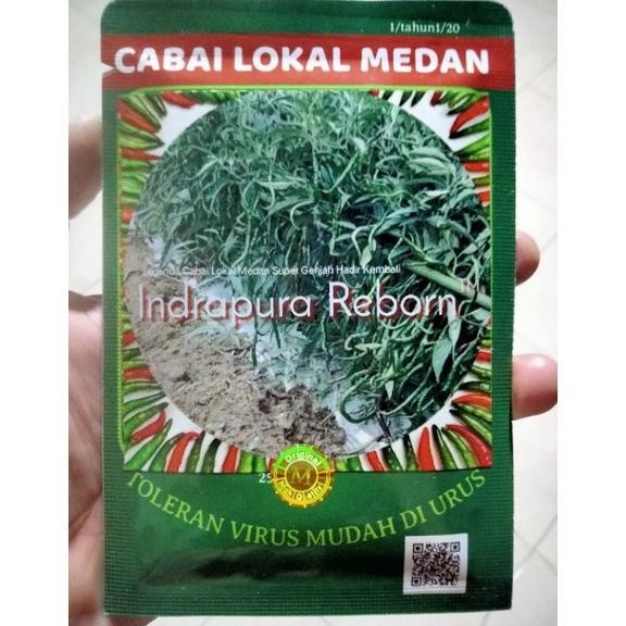 Benih Cabe Merah Keriting INDRAPURA REBORN 10 Gram - CMK INDRAPURA REBORN - Bibit Cabai Lokal medan 