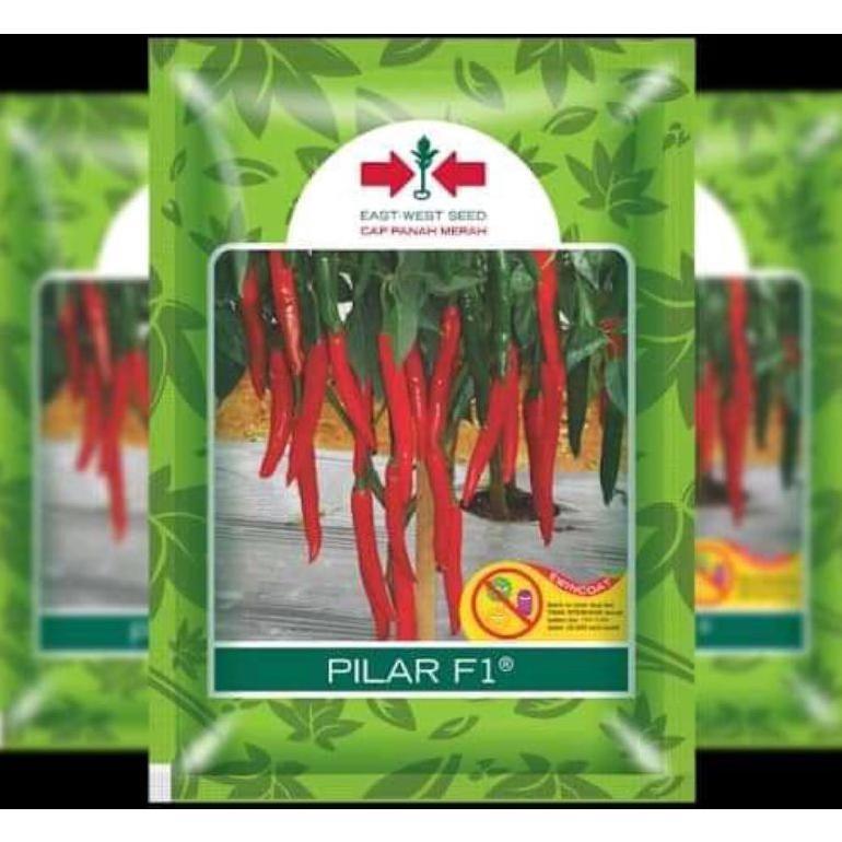Benih Bibit Cabe Besar pilar F1 isi 1750 butir cap Panah merah