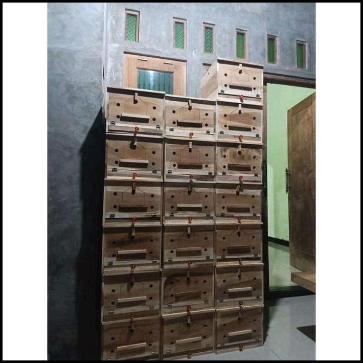 Gupon Merpati Rumah Burung Dara