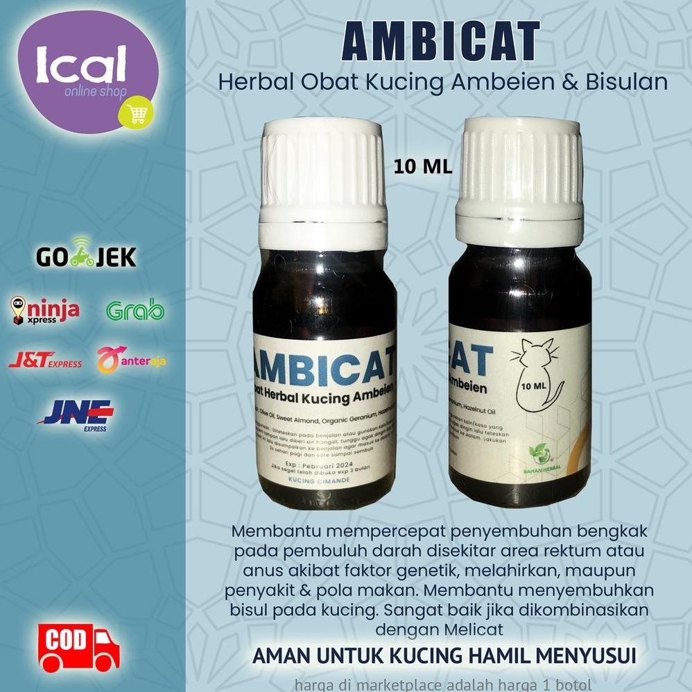 AMBICAT Obat Herbal Kucing Ambeien Wasir Bisulan DiM