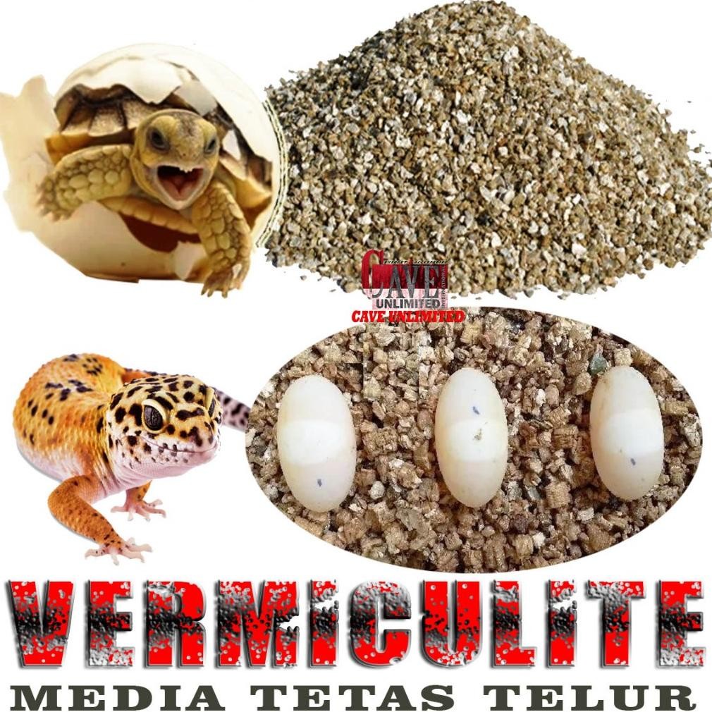 VERMICULITE REPTILE MEDIA PENETASAN TETAS TELUR TELOR LEOPARD GECKO KURA DARAT TORTOISE SULCATA PARD