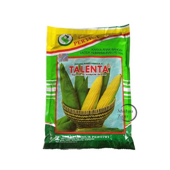 

Benih Jagung Manis Talenta 250 Gram
