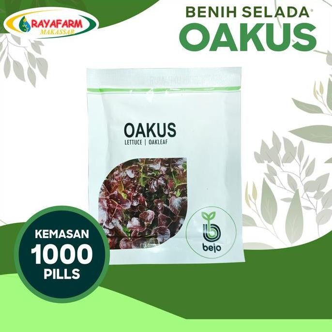 Benih Bibit Selada Merah Oakus 1000 Pills - Bejo Seed