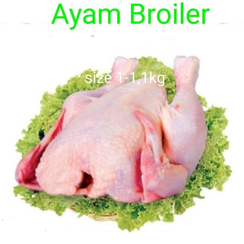 

Ayam Broiler Premium 500gr-1300gr Potong Sesuai Keinginan Nugi