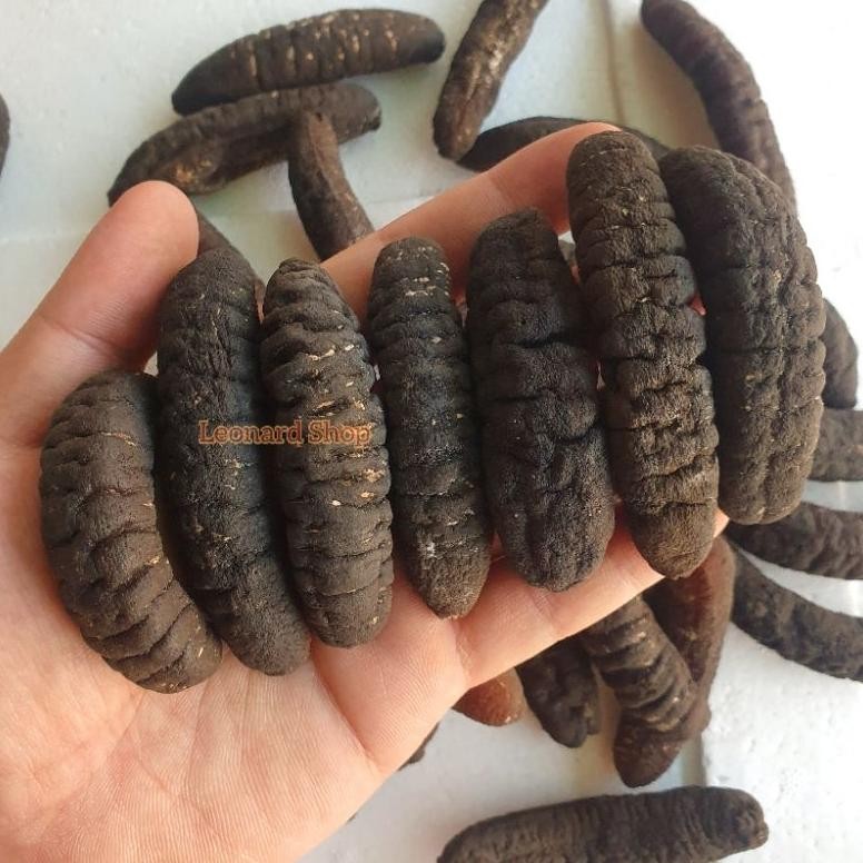 HAISOM SUPER ISI 7 - 8 ASLI BANGKA BELITUNG KERING PER EKOR BERKUALITAS HASIL BESAR TEBAL DAN KENYAL