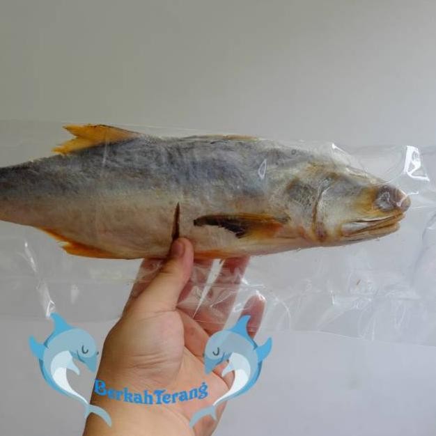 

Ikan Asin Kuro Wangi Super 500gr