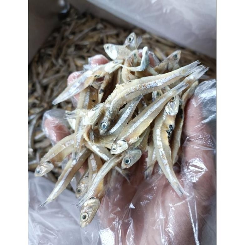 

Ikan Teri Jengki keringikan asinikan teri asin kualitas premium harga