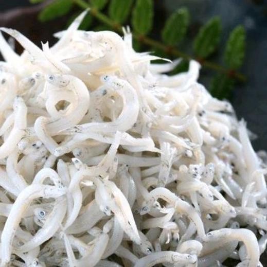 

Teri Medan kering kualitas 1