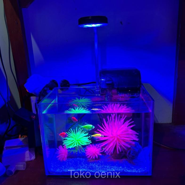 Best - LAMPU HPL AQUASCAPE AKUARIUM CORAL AQUARIUM LAUT OX MARINE spectra