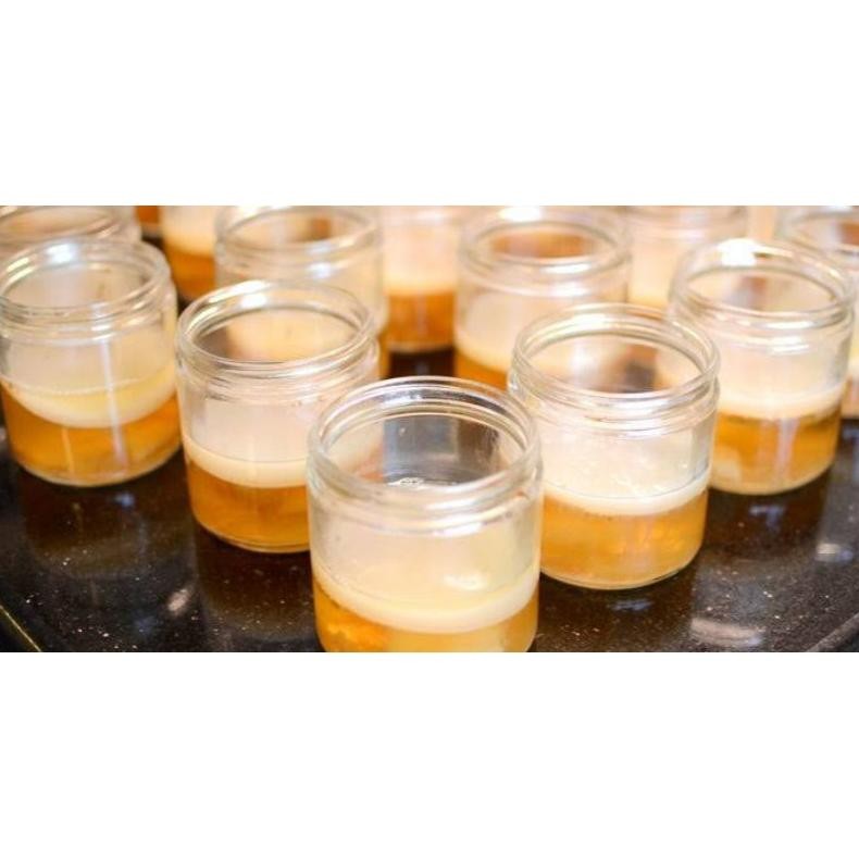 

Kombucha SCOBY Bonus Starter Nugi