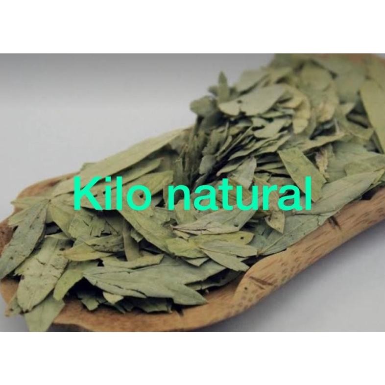 

Teh Jati Cina 1KG / Chinese Teak Tea / Daun Jati Cina 1kg Nugi