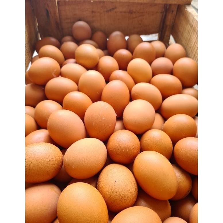 

Telur Ayam Fresh 1 Kg Bandung Kulit Tebal Nugi