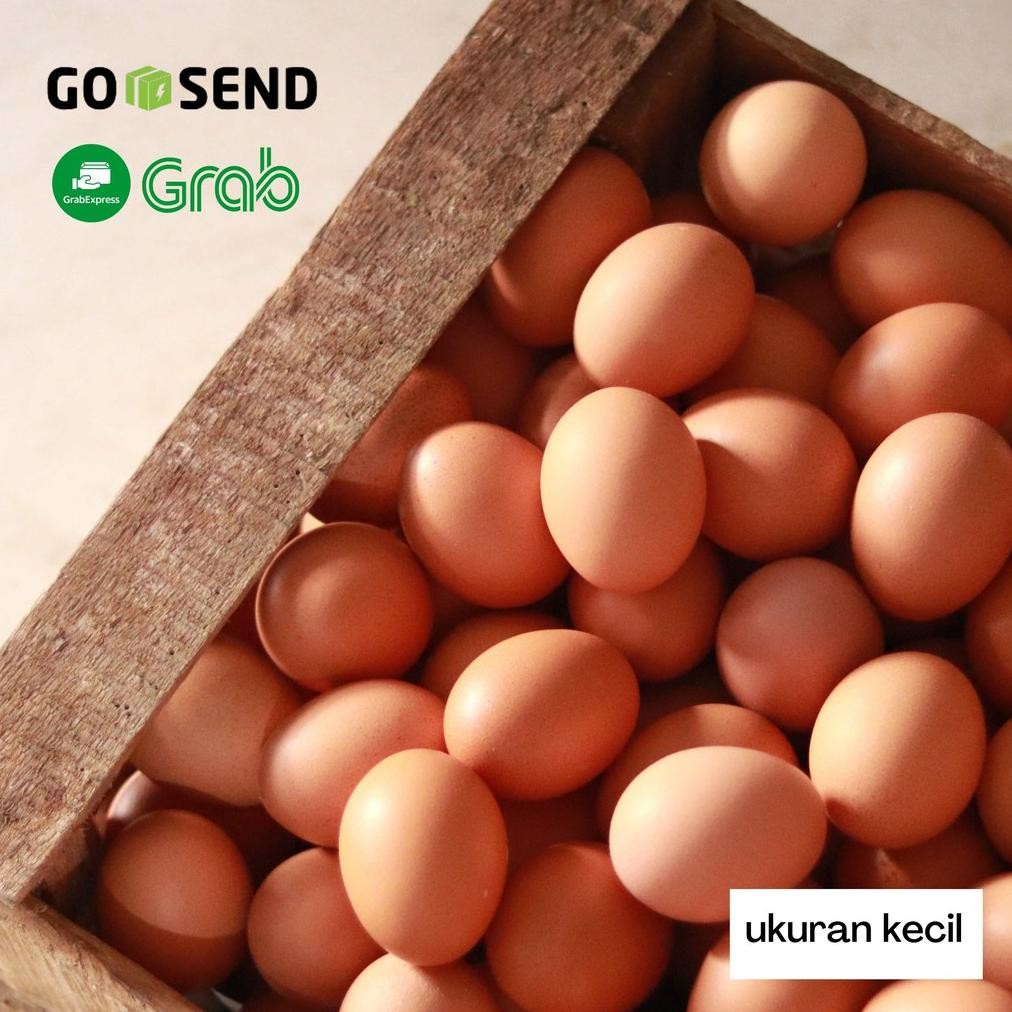 

Telur / Telor Ayam Fresh (per kg) ukuran kecil | Supplier / Distributor Telur Bandung Nugi