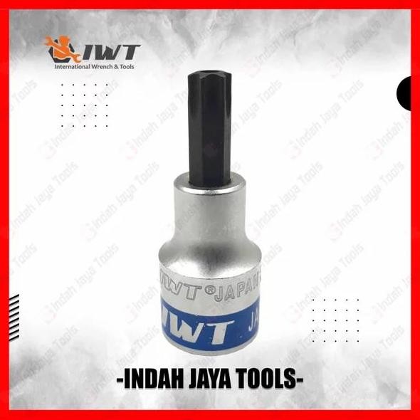 IWT JAPAN Mata Sok Bintang T40 T50 Kunci Kepala Babi Lubang Tamper - T50