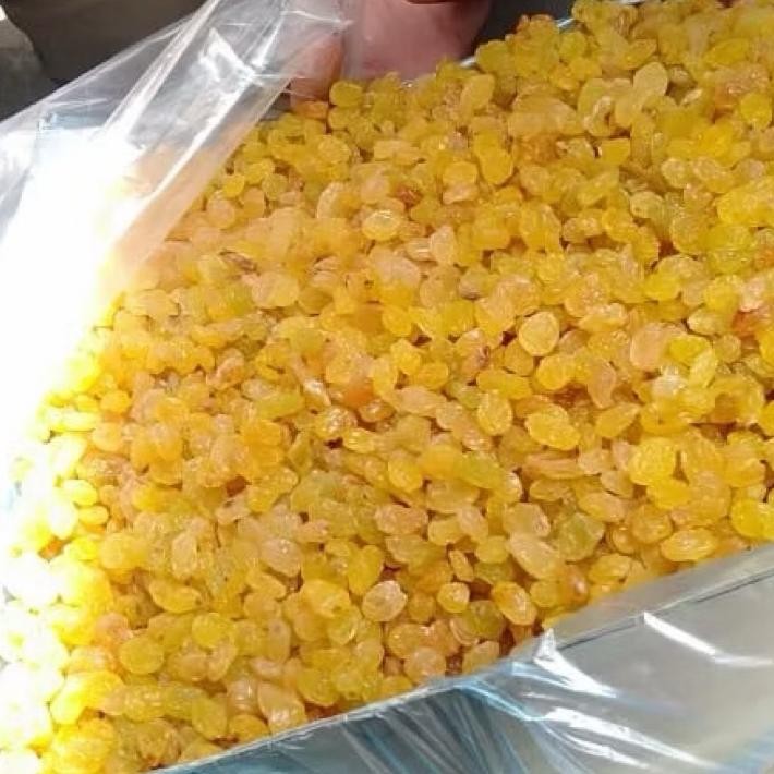 

Kismis Manis Siminkismis Kristal Manis 1Kggr Oleh Oleh Haji Dan Umrah