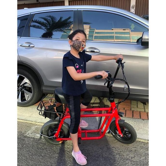 Sepeda Listrik Fiido Q1 Baru 36V 250W 10.4Aha Kualitas Terbaik Harga Termurah