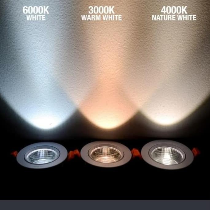 Lm Downlight Cob Led 20W 20 Watt 20Watt Inbow Ceiling Light Spotlight