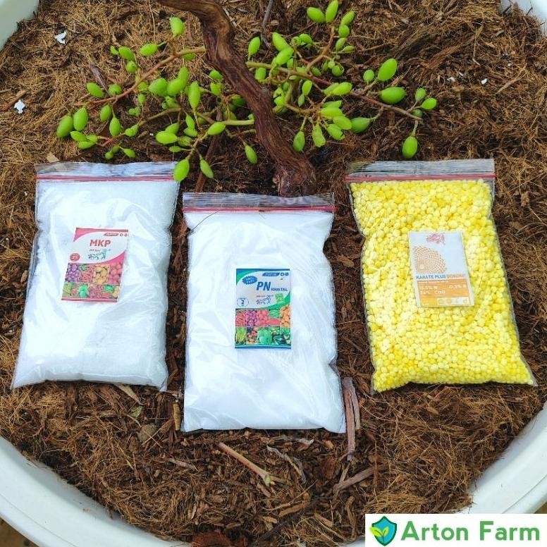 PUPUK MKP KNO3 PUTIH KARATE BORON TOTAL 600 GRAM - PUPUK PAK TANI REPACK