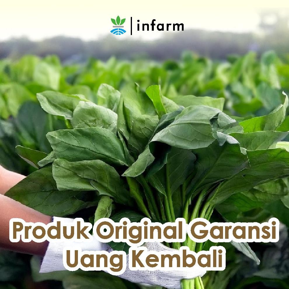 PUPUK NPK MUTIARA 161616 1KG ORI