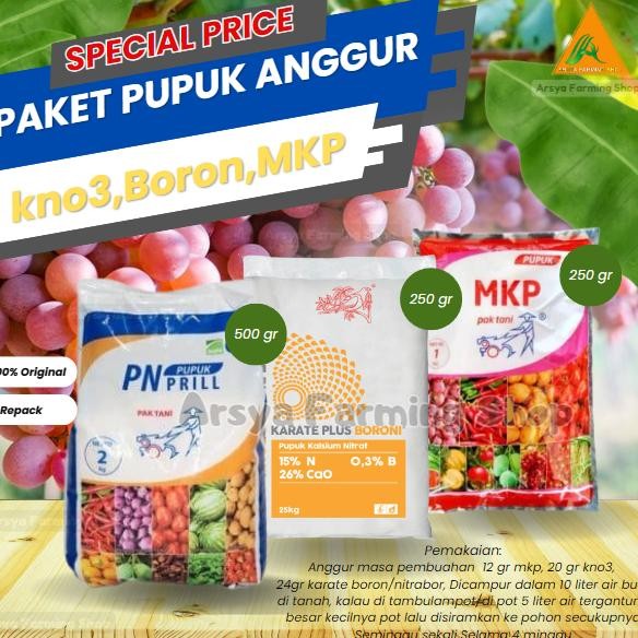 PAKET PUPUK ANGGUR KNO3 PUTIH + MKP + BORON