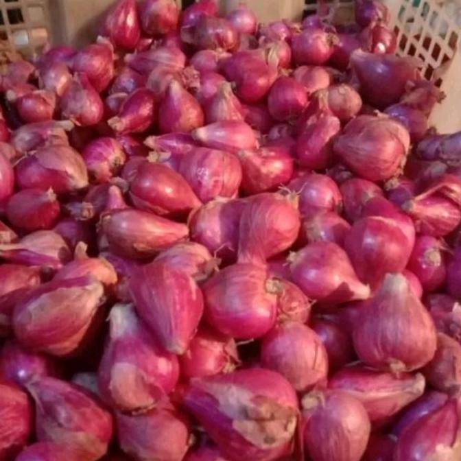 

Bawang merah/bawang merah Brebes super HM