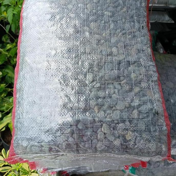 batu koral sikat hitam/pancawarna 10 kg TM