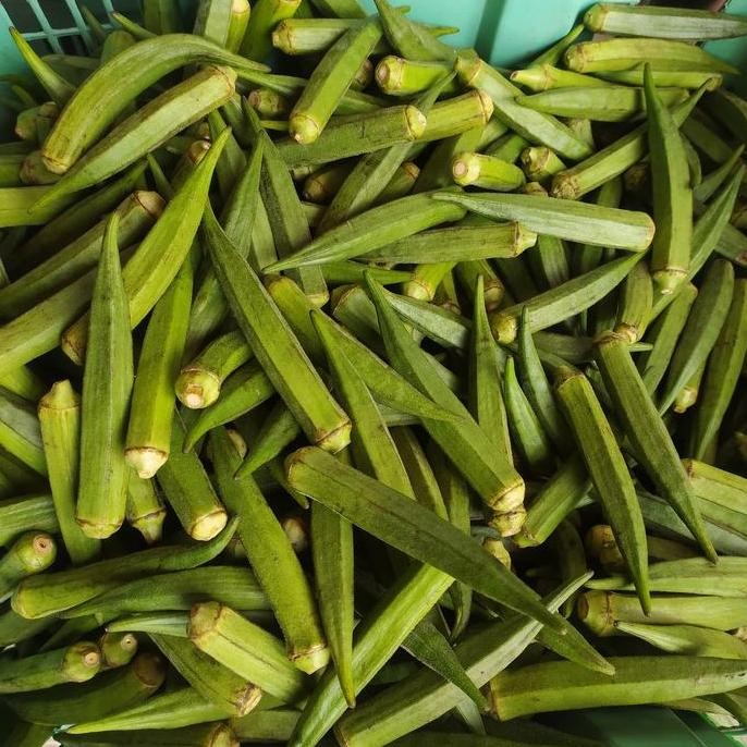 

((((()paling dicari] BINDI