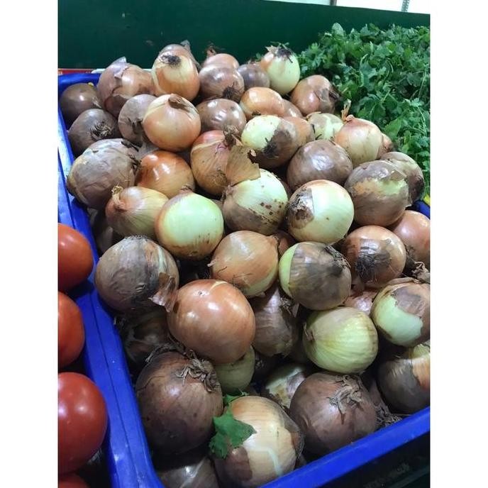 

Buruan serbu] BAWANG BOMBAY / BIG ONION